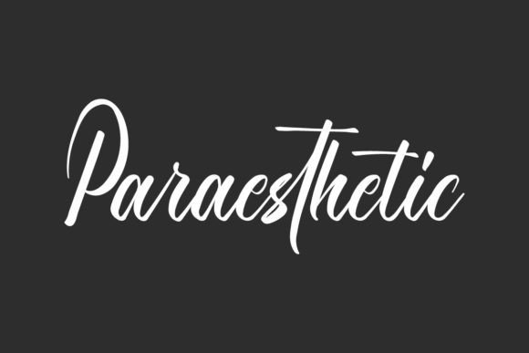 Paraesthetic: A Calligraphy Script Font with Elegant Versatility